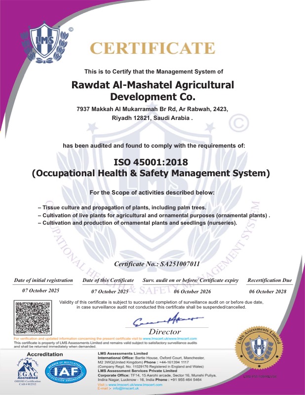 ISO 45001:2018