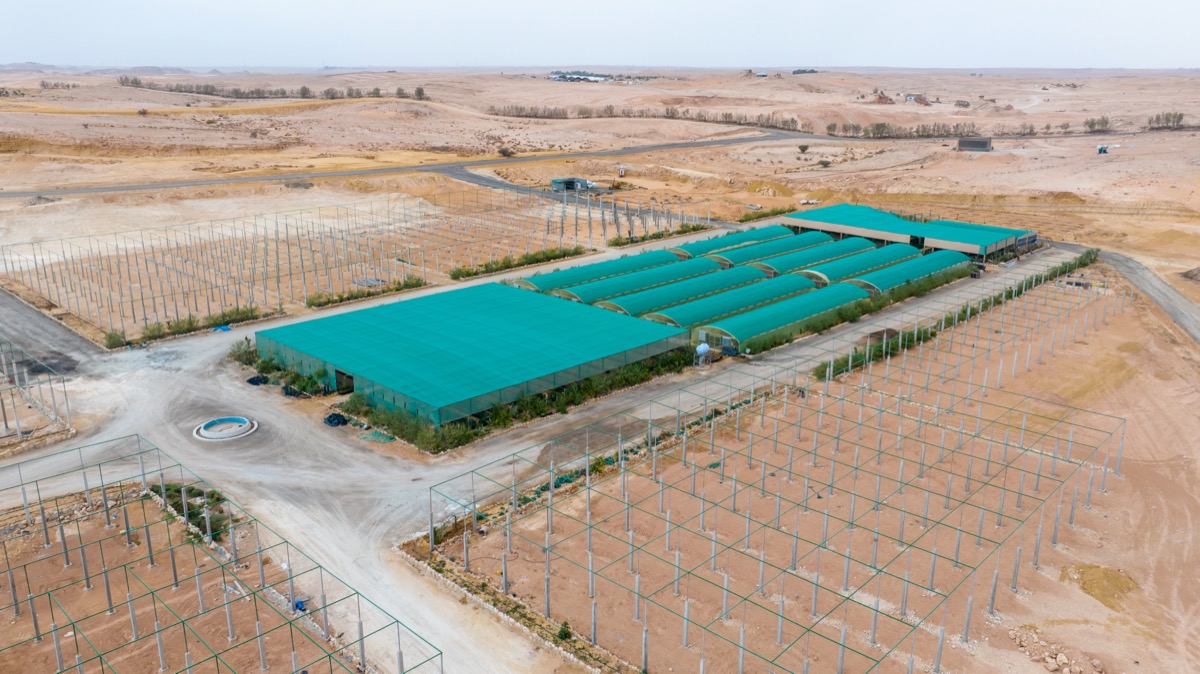 Advanced Greenhouses