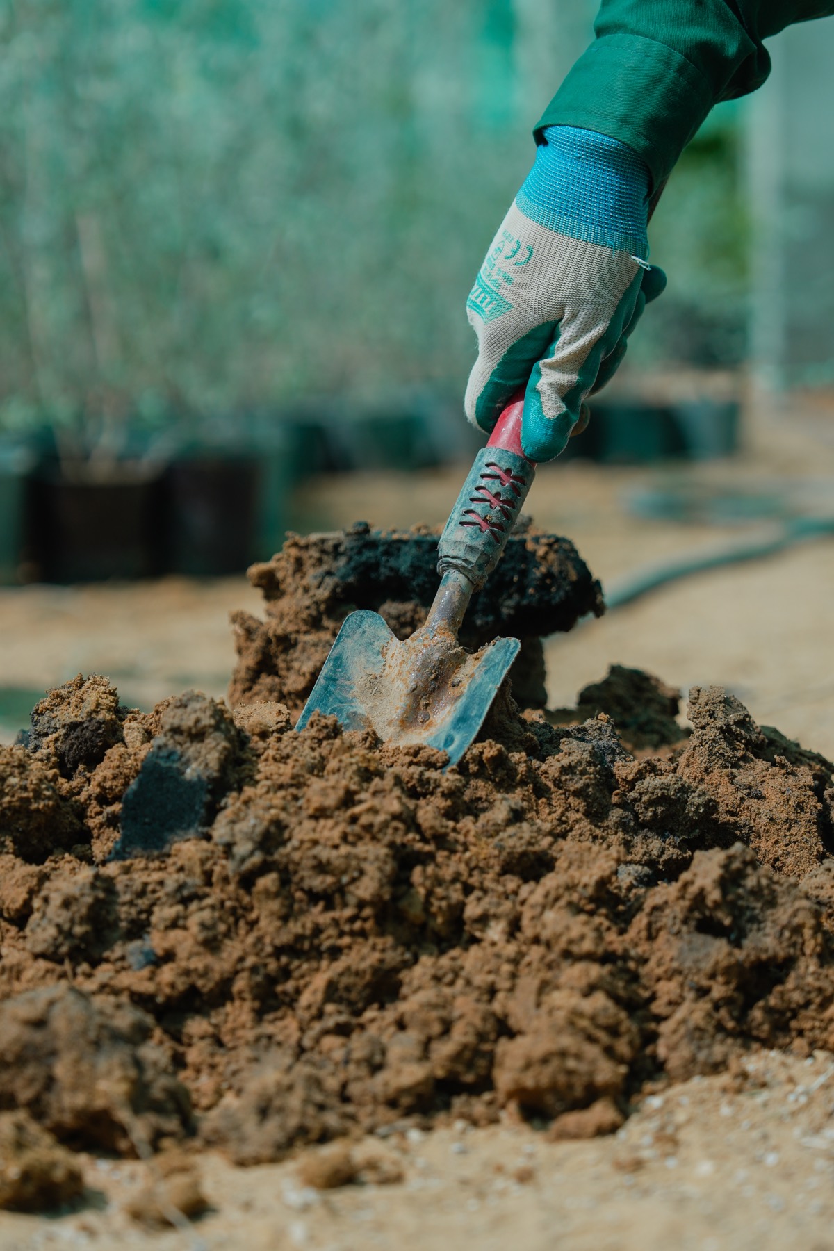 Optimized Soil and Nutrition