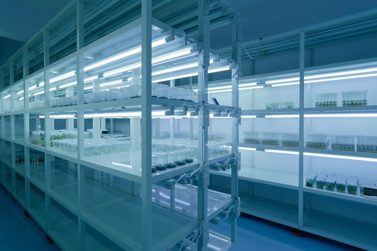 Tissue Culture Innovation