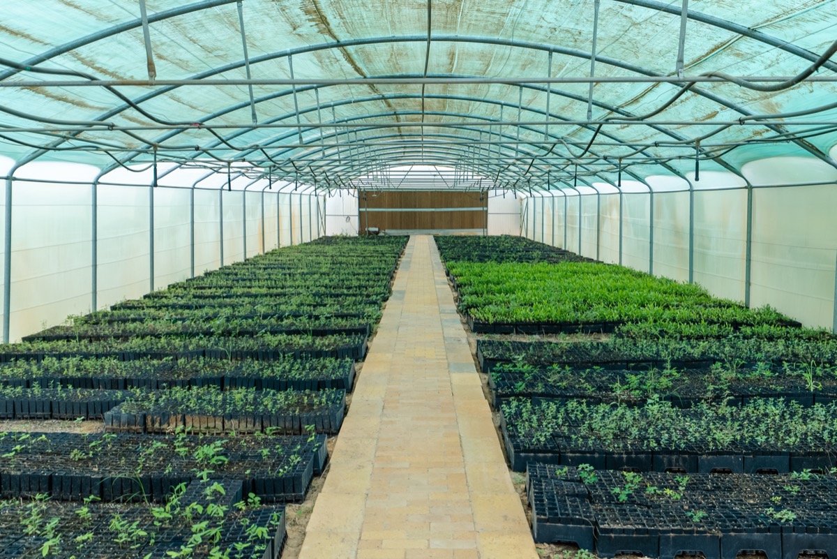UNISCAPE nursery aerial view