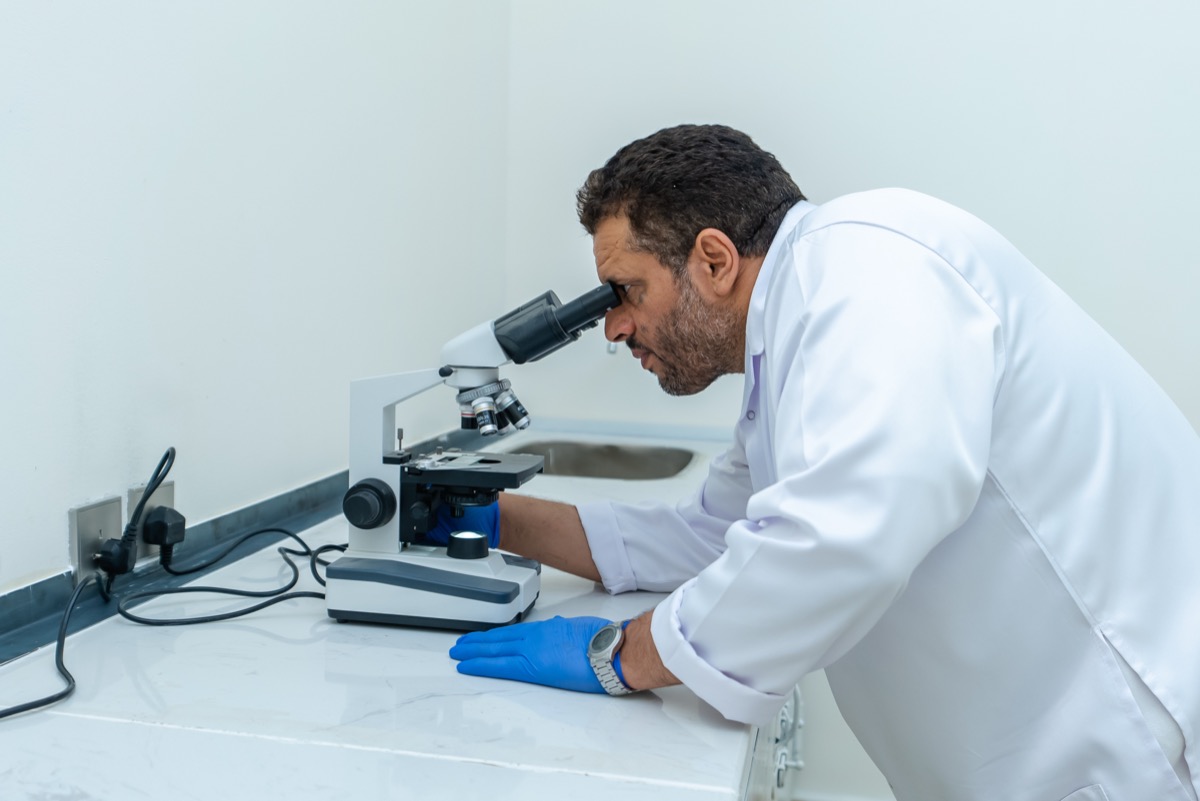 Horticulture science and analysis