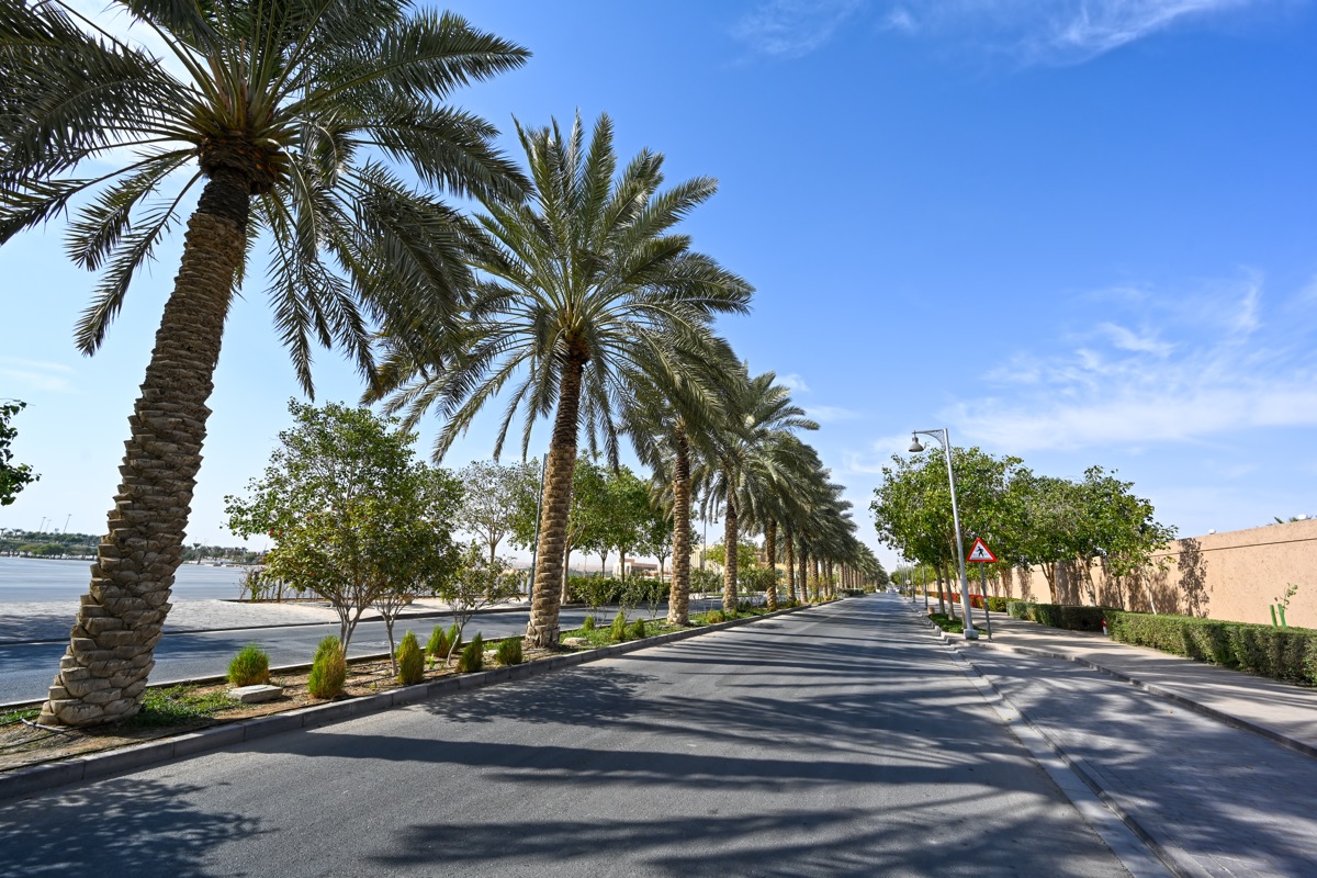 UNISCAPE landscape project
