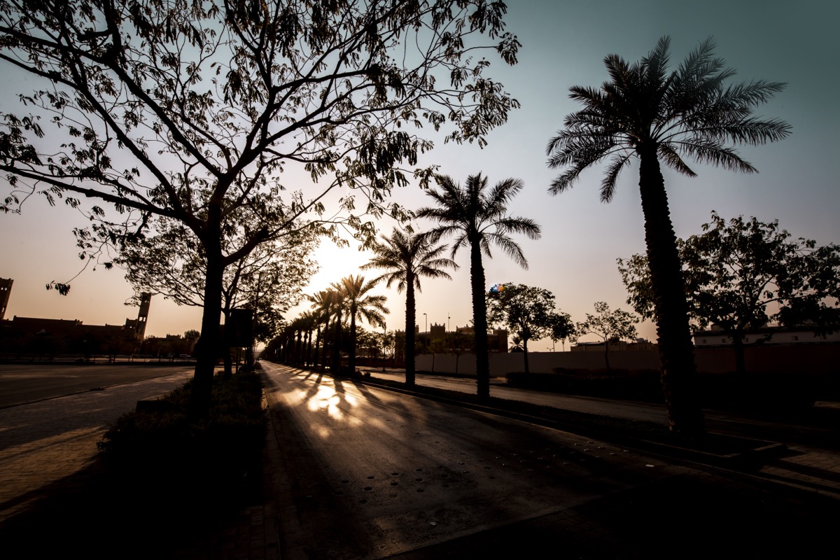 UNISCAPE landscape project